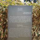 부안 수성당 &amp; 칠산바다 1천여척 &#39;위도 파시&#39; 이미지