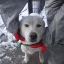 중산간서로 이미지