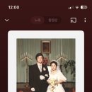 핑크 스파이더 이미지