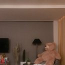 마린스테이 이미지