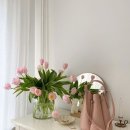 이룸디자인 이미지