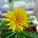 이야기김밥 이미지