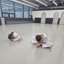 한국체대우리태권도 이미지