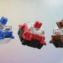 콕스피씨방 | 기계식 키보드 입문자 필독! 청축 적축 갈축 특징 및 타건감 비교