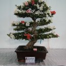 호암체육관 이미지