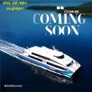 스타라인 이미지