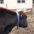 우용산업 이미지