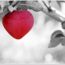 사랑이네 이미지