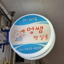 멍쌤 펫 살롱 이미지