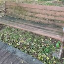 나무벤치 이미지