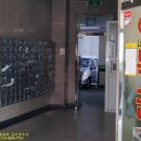 인화오벨리아 이미지