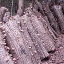 목골농장 이미지