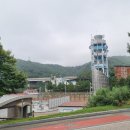 비화항B Daum카페