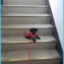 그루동물병원 이미지