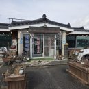 꽃향기 | (양양 맛집) 메밀막국수, 메밀전병 맛집 '메밀꽃향기 양양본점' 방문후기