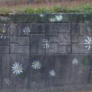 옥정호구절초테마공원 이미지