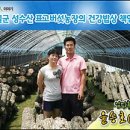 소통은人이다 Daum카페