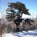 석탄박물관 관광안내소 이미지