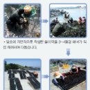 늘푸른수산 Daum카페