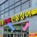 팔팔한민물장어 이미지