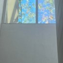 삼덕생선구이