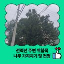 홍북읍 당산마을회관 | 전력선 주변 위험목 나무 가지치기 및 전정