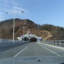 장승포항(지심도 도선) 이미지