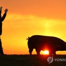 다산올축산