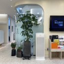 서울송치과의원 이미지