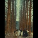 삼악산민박 | 춘천 엘리시안강촌 리조트 근처 주말 6만 원 가성비 숙소