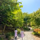 오리궁디가든 | 서울 근교 나들이 아이랑 동화같은 곳에서 동물들을 만날 수 있는 마이애니멀스토리in평강랜드 후기