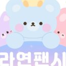 하니팬시