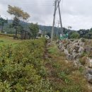 대명중기 이미지