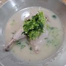 언양닭칼국수사파점