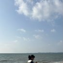 제부포레스트 이미지