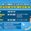 일본뇌염 예방접종 생백신 사백신 차이, 증상 (모기매개질환) 이미지