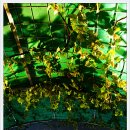 와인동굴 이미지