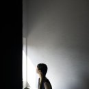 스테이 선명 이미지