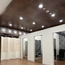 위더스 펫 이미지