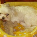 010-교하-010 이미지