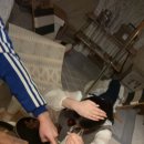 파파홈예산 이미지