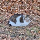 홍이네불닭 | 소소한 2월 일상