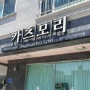 정관 단골 맛집 각, 모르면 손해 보는 ‘카츠모리’