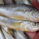 명성유통 이미지