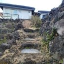 제주 알모 이미지