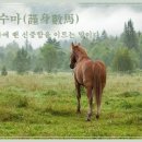 금대목장 Daum카페