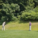 온그린 골프장 이미지