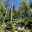 일본 다테시나산(蓼科山/Mt.Tateshina, 2530m) 이미지