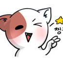 보물섬 가라오케 이미지