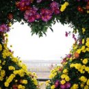 익산통합 RPC 이미지